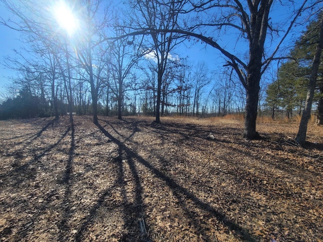 view of yard with a rural view