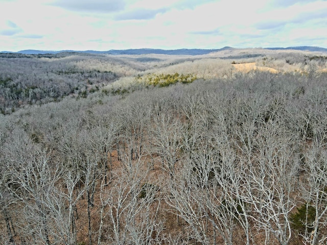 drone / aerial view with a mountain view