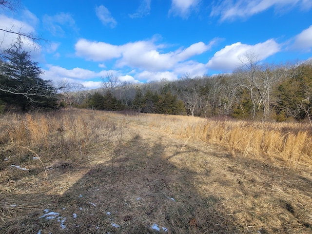 view of landscape with a rural view