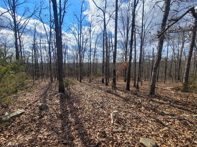 view of local wilderness