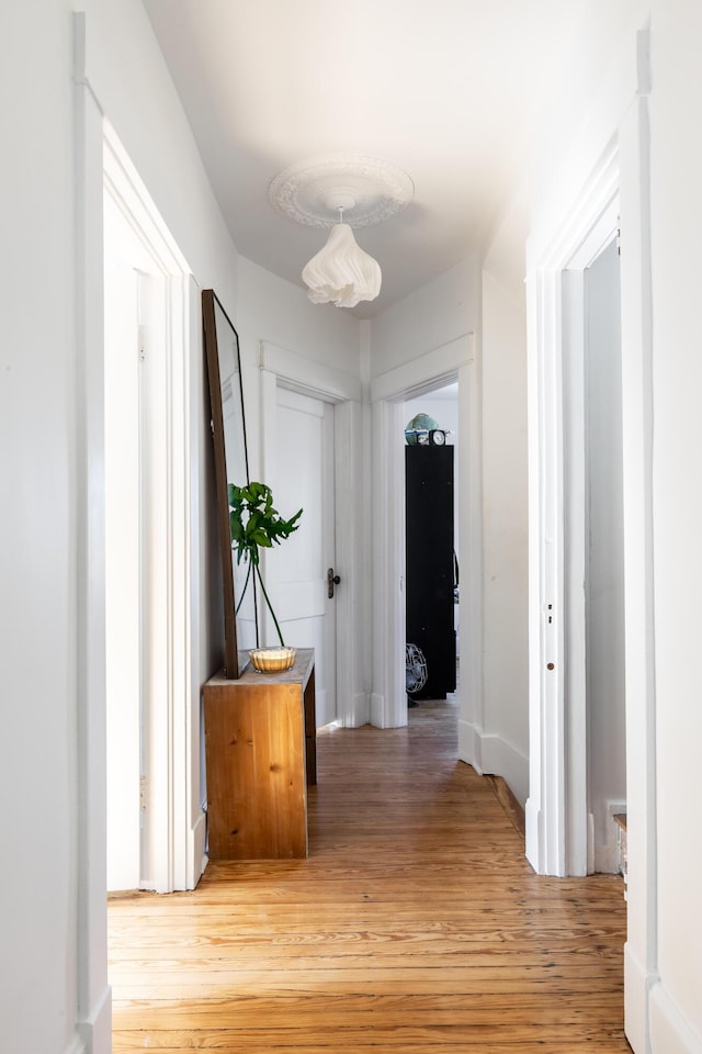 hall with hardwood / wood-style floors