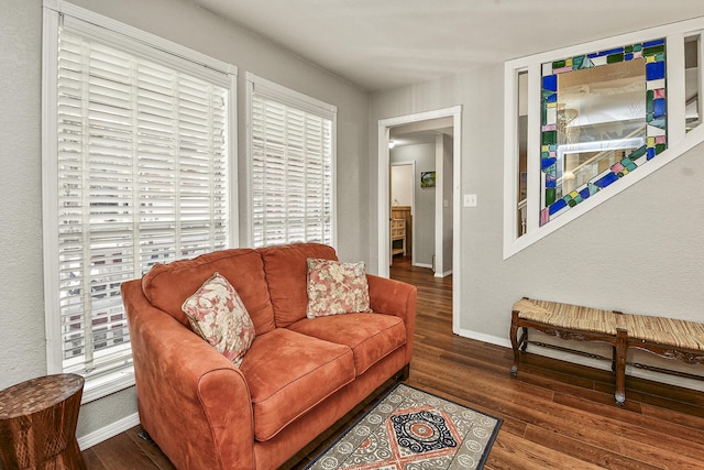 living room with dark hardwood / wood-style flooring