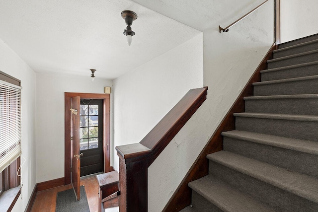 entryway featuring wood-type flooring