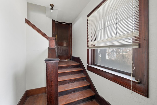 stairs with hardwood / wood-style floors