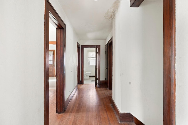 corridor with dark hardwood / wood-style flooring