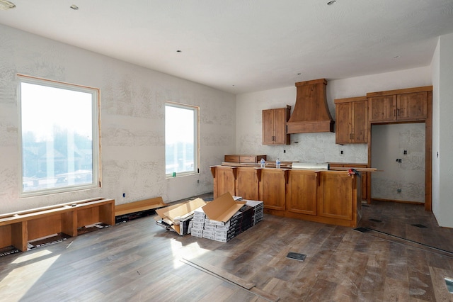 kitchen with premium range hood and dark hardwood / wood-style floors