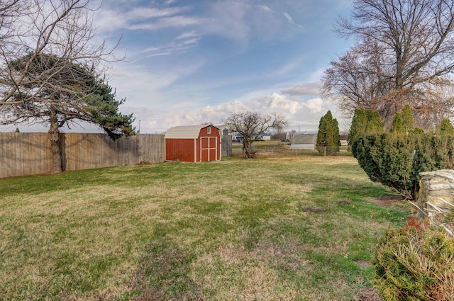 view of yard with a storage shed