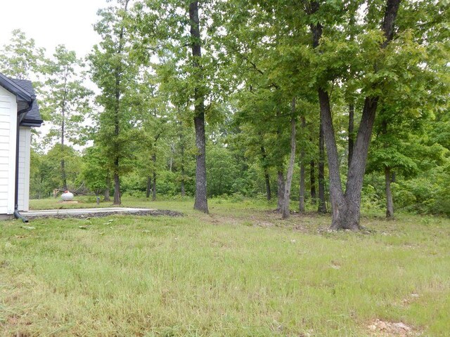 000 State Highway C, Norwood, MO 65717 - photo 42