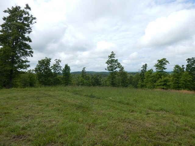 000 State Highway C, Norwood, MO 65717 - photo 40
