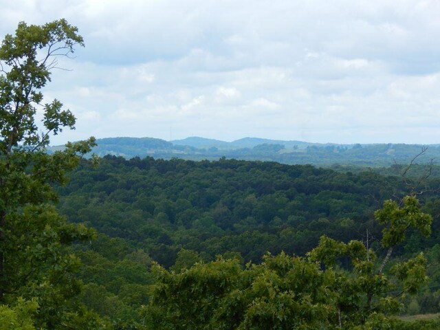 000 State Highway C, Norwood, MO 65717 - photo 32