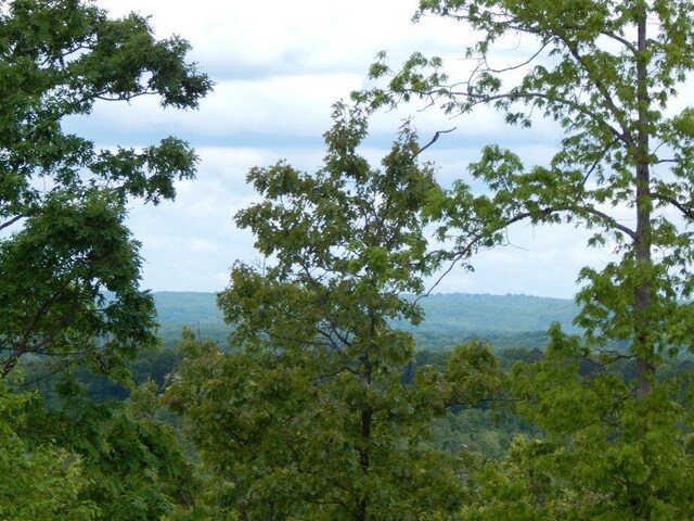 000 State Highway C, Norwood, MO 65717 - photo 33