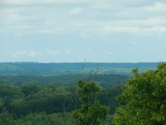 000 State Highway C, Norwood, MO 65717 - photo 34