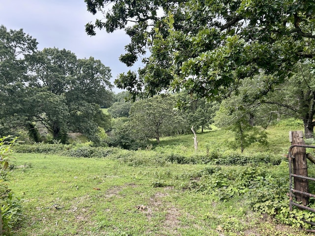 14776 State Highway Ff, Ava, MO 65608 - photo 34