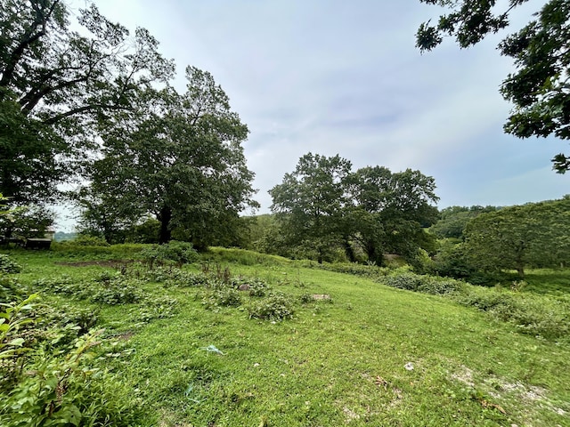 14776 State Highway Ff, Ava, MO 65608 - photo 35