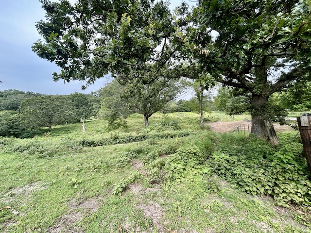 14776 State Highway Ff, Ava, MO 65608 - photo 36