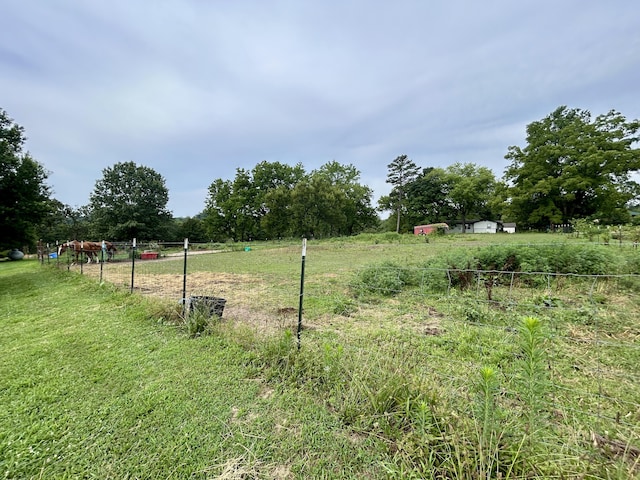14776 State Highway Ff, Ava, MO 65608 - photo 40