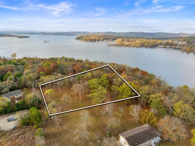 1369-A Stormy Point Rd Unit 2A, Branson MO, 65616 land for sale