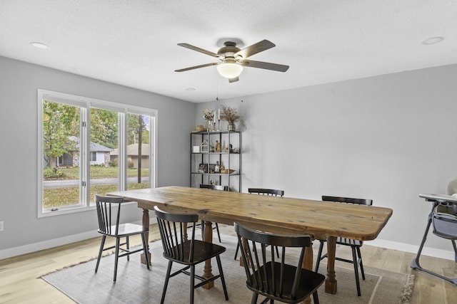 dining space with ceiling fan, a textured ceiling, and light wood-type flooring