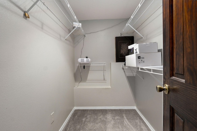 spacious closet with carpet floors