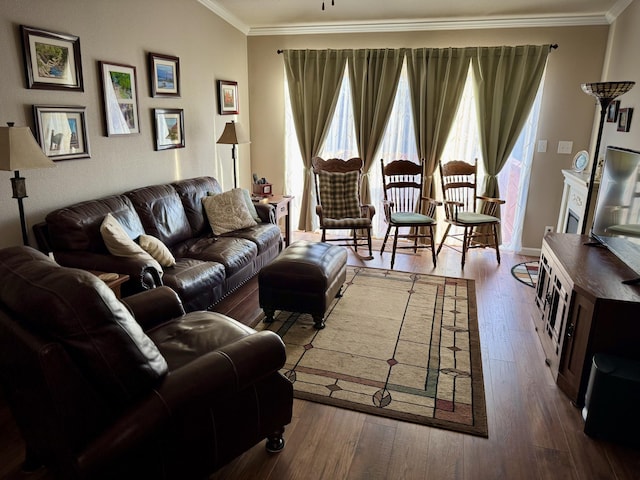 living room with ornamental molding and hardwood / wood-style floors