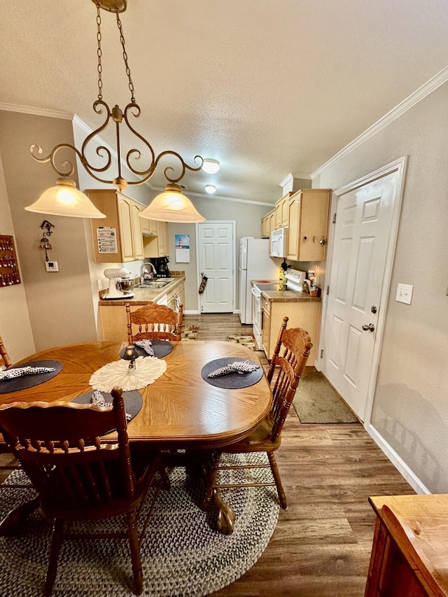 dining room featuring ornamental molding, light hardwood / wood-style floors, and a textured ceiling