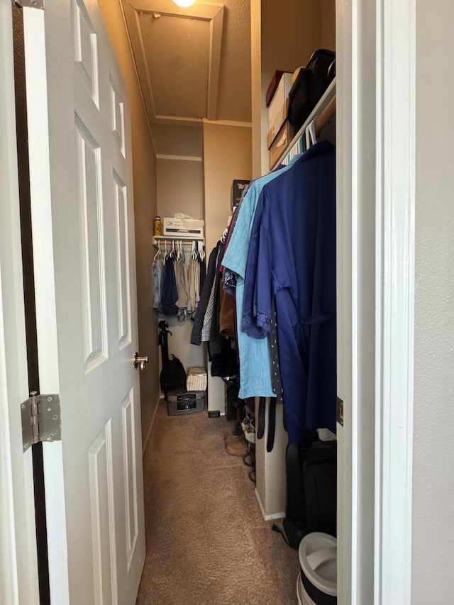 spacious closet featuring carpet floors