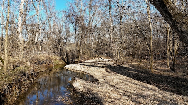 view of nature