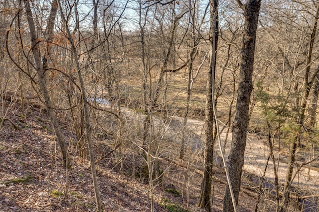 view of landscape