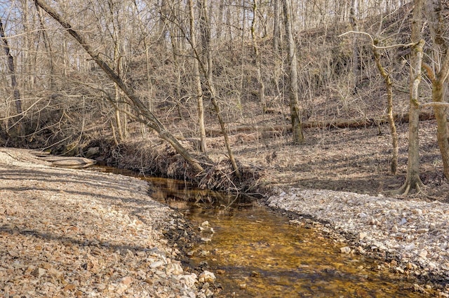 view of local wilderness