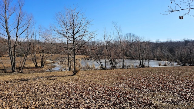 view of yard featuring a water view