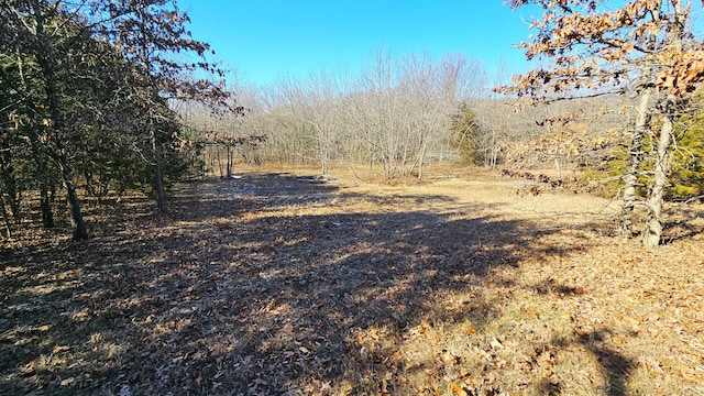 view of local wilderness