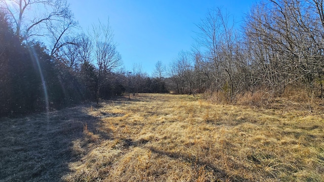 view of local wilderness