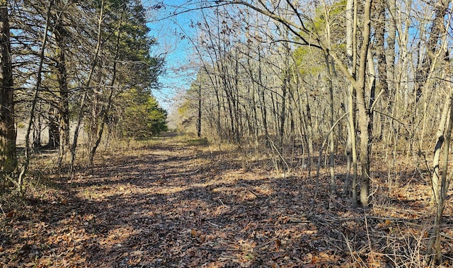 view of local wilderness