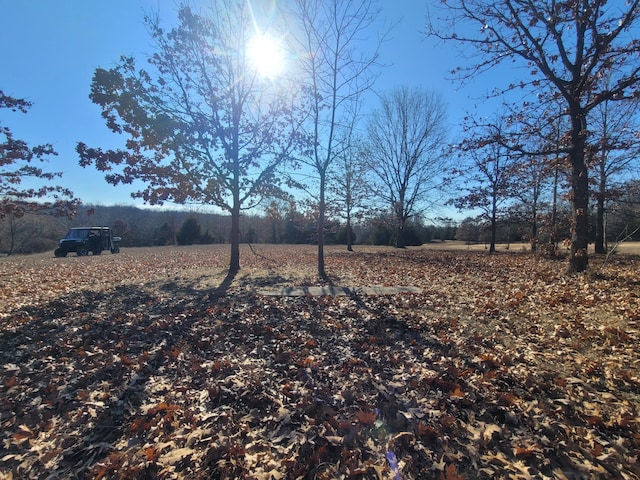 view of yard featuring a rural view