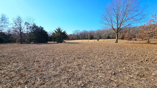 view of yard featuring a rural view