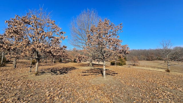 view of yard with a rural view