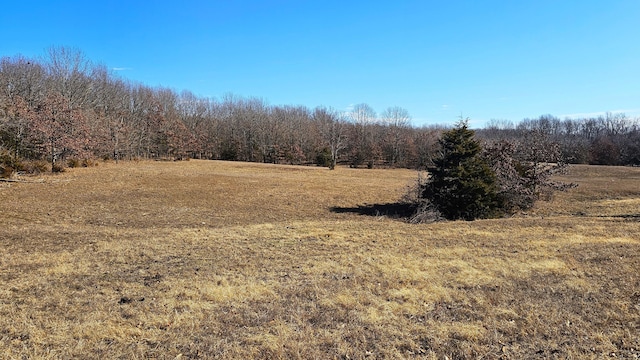 view of local wilderness with a rural view