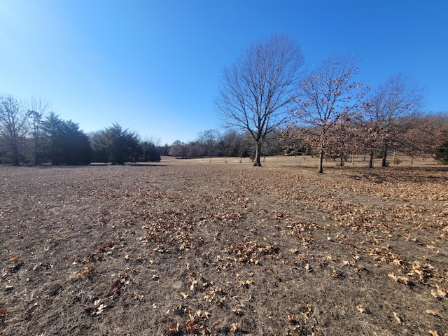 view of yard featuring a rural view