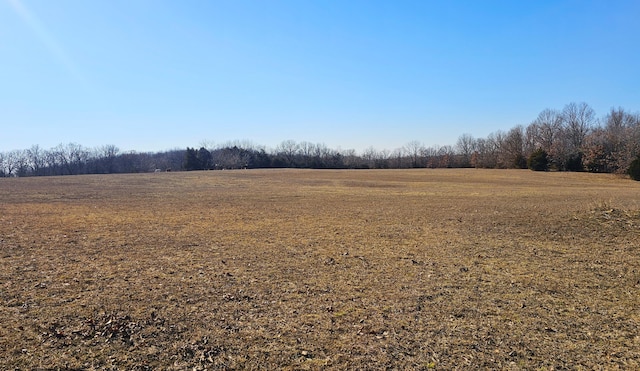 view of yard with a rural view