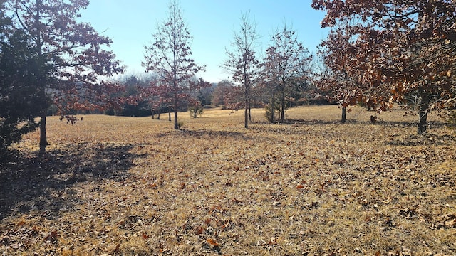 view of yard featuring a rural view