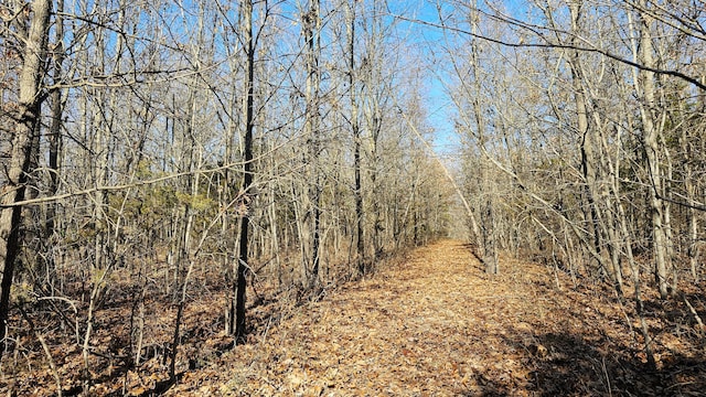 view of landscape