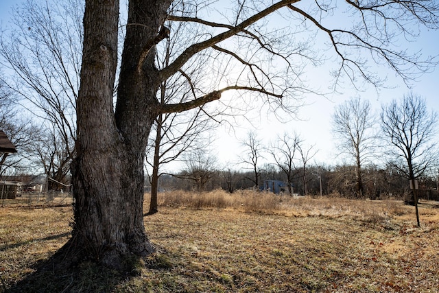 view of nature