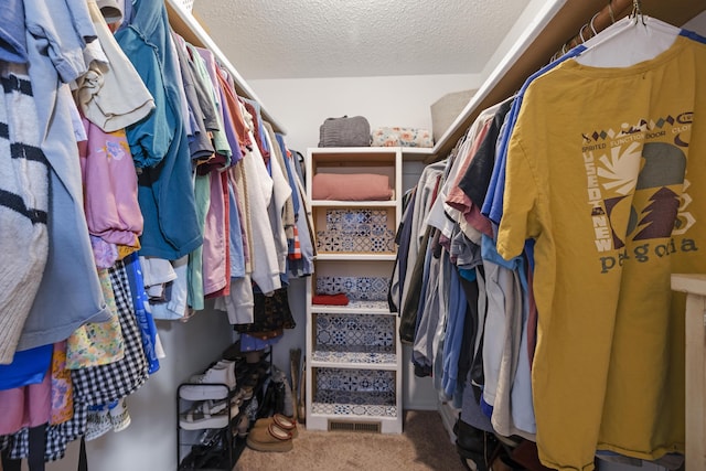 spacious closet with carpet floors