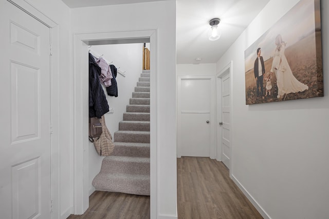 corridor featuring hardwood / wood-style flooring