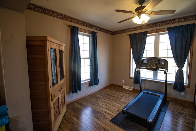 exercise room with ceiling fan and dark hardwood / wood-style flooring