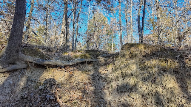 view of landscape