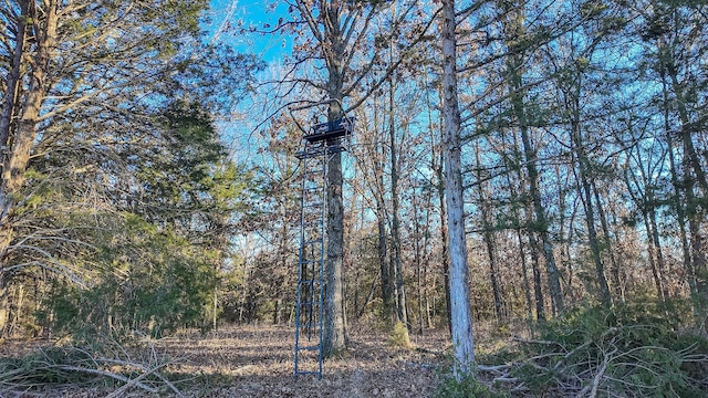 view of local wilderness