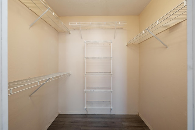 spacious closet featuring dark hardwood / wood-style floors