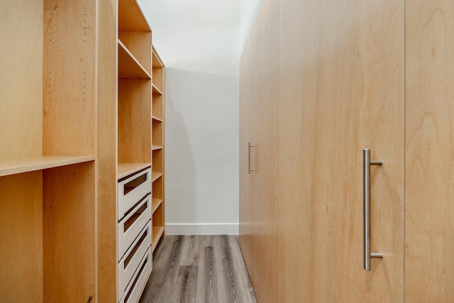 3481 W Moark St, Springfield, MO 65810 - spacious closet featuring dark wood finished floors