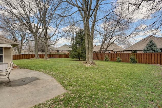 view of yard featuring a patio area